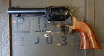 Revolver Tanarmi TA22S RG Piooner (Renato Gamba) cal.22l.r.