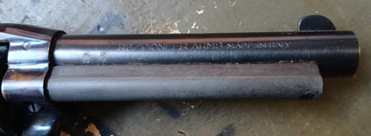 Revolver Tanarmi TA22S RG Piooner (Renato Gamba) cal.22l.r.
